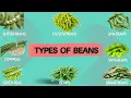 Vegetables Names Types of Beans Broad Beans Butter Soya Lima Cluster Beans Cow Green Peas