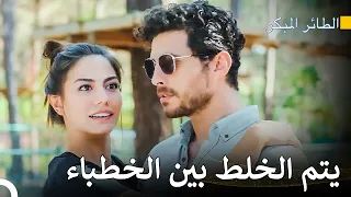 رحلة سينام للعثور على الحب 17 مسلسل الطائر المبكر 