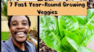 7 FAST GROWING SURVIVAL VEGETABLES TO GROW YEAR-ROUND AT HOME IN A CRISIS SOUTH AFRICAN GARDEN