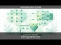Quantization-Aware Training