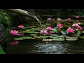Relaxing Classical Piano Music: Mozart, Chopin, Beethoven, Bach, Tchaikovsky 🎹