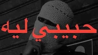 TUL8TE HABEEBY LEH LYRICS توليت حبيبي ليه كلمات 