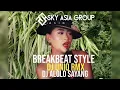 Download Lagu DJ ALOLO SAYANG REMIX // BREAKBEAT STYLE FULL BASS