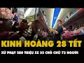 Lagu Thương tâm 28 TẾT: Phạt gần 280 triệu xe 22 CHỖ CHỞ 73 NGƯỜI, xét xử tài xế KHÔNG BẰNG VƯỢT ẨU |PKT