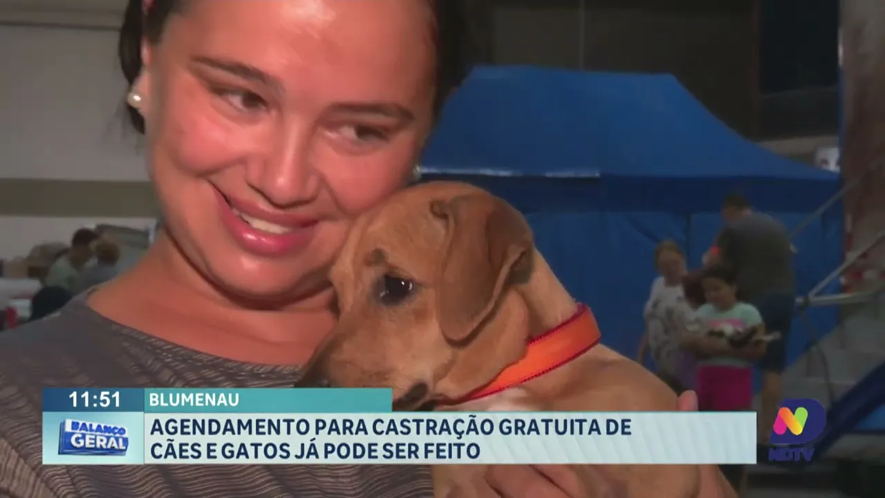 Agendamento para castração gratuita de cães e gatos já pode ser feito em Blumenau