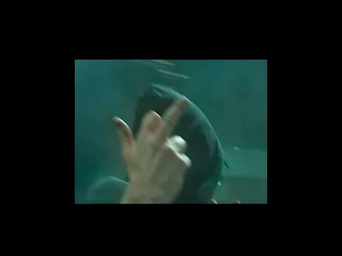 Video Thumbnail: Free Finga & Pilaitė - Gestas