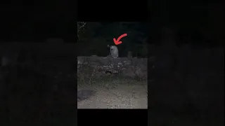 فيديو مرعب جدا لمخلوق غريب رعب اكسبلور Explore  فيديو مرعب جدا لمخلوق غريب رعب اكسبلور Explore