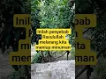 inilah penyebab Rasulullah melarang kita meniup minuman#motivasidiri