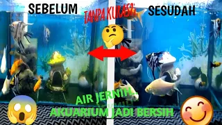 cara membersihkan akuarium tanpa kuras sangat mudah dan simple
