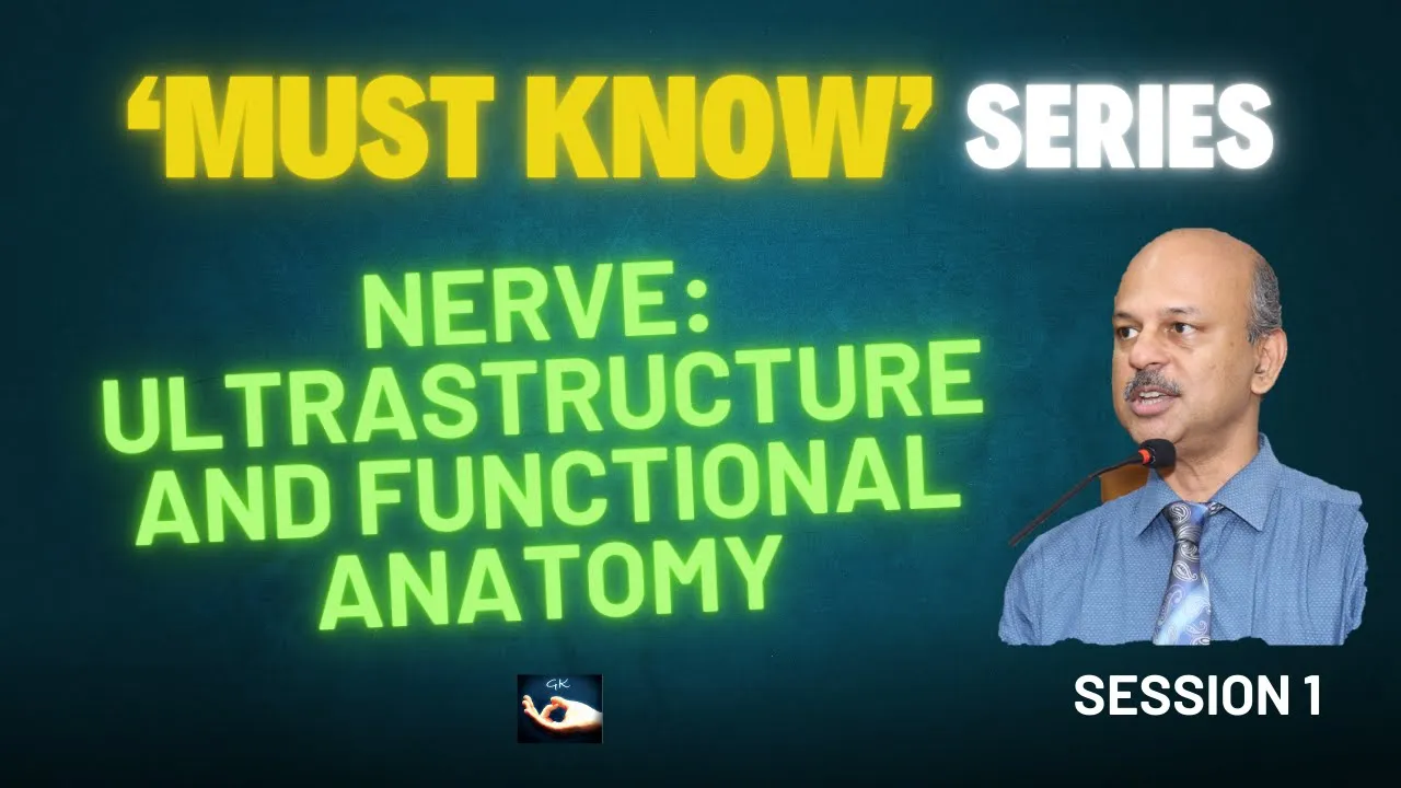 Must Know Series 1: Nerve ultrastructure and functional anatomy