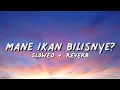 Download Lagu Nasi Lemak KFC Slowed + Reverb (Lyrics)