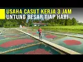 Download Lagu Tak Pernah Gagal Mantan Satpam Sukses Usaha Cacing Sutra Untung Jutaan Tiap Hari