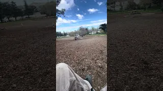 Dog park days .. #Fyp #dream #pets #doberman