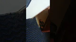 شاهد وركزو ماحصل من كرثه في احد بيوت من بيوت اليمن ماقد حصلت في الجريمه 