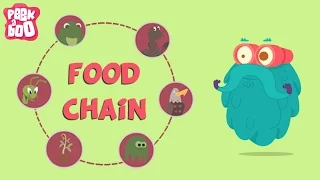 What Is A Food Chain The Dr Binocs Show Educational s For Kids