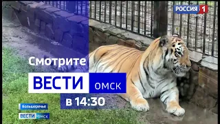«Вести Омск», дневной эфир от 21 августа 2023 года