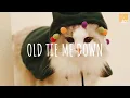 Lagu Old Tie Me Down - DJ Rendy Raver (Vietsub + Lyric)