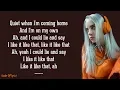 Download Lagu Billie Eilish - when the party's over (Lyrics)