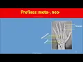 Chapter 4 - Medical Terminology course-Version 1 of 2