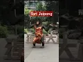 Monyet joget Jaipong #lucu #kocak #jaipong #monyet #monkey #shortvideo #youtubeshorts