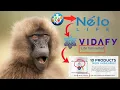 ONPASIVE Nelo Life Vidafy and Their Deceptive Labyrinth