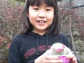 IG3T April Science Project - Lucy's Cactus