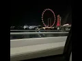 赛勒斯的爱