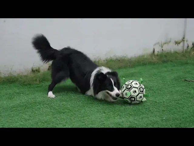 MOMOVIDA DT-8/8L ลูกบอลเรืองแสงสุนัขทนดึง TPU ปลอดภัย ทนกัด