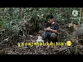 Download Lagu berburu monyet ekor panjang.poin langsung di masak buat anjing