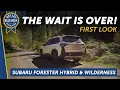 2025 Subaru Forester Wilderness First Look