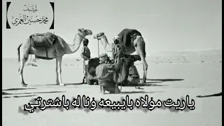 شدت خيول العوالق 