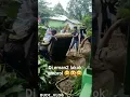 Download Lagu tidurlah yang lelap kawanku ! video ngakak part 9 #shorts #meme #videolucibikinngakak #tiktok