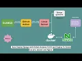 Auto Deploy Django with GitHub Actions CICD - config gunicorn firewall nginix