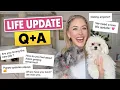 Life Update Q A New Job Dating YouTube Break Hawaii What s Next