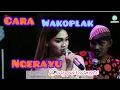 Download Lagu CARA WAKOPLAK NGERAYU DESY PARASWATI-KUCING ANGOB-ORGAN DESY PARASWATI - LIVE CIREBON