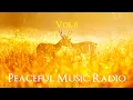 Download Lagu Peaceful Music Radio Vol.8 | 2023.6.25 演奏会のピアノ即興演奏 / Yuusuke