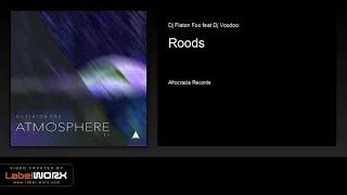 dj flaton fox feat dj voodoo roods original mix 