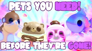 summer pets you need before theyre gone adopt me summer camp roblox riivv3r