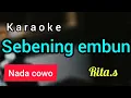 Download Lagu karaoke dangdut SEBENING EMBUN rita.s nada COWO