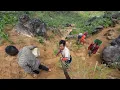 Download Lagu hmoob Nyob Toj Roob Siab Tsim Nuj Thawj Zaug Khag Mus Hauv Qno Ntsua Ev Dej Haus Txaus Ntsai Heev