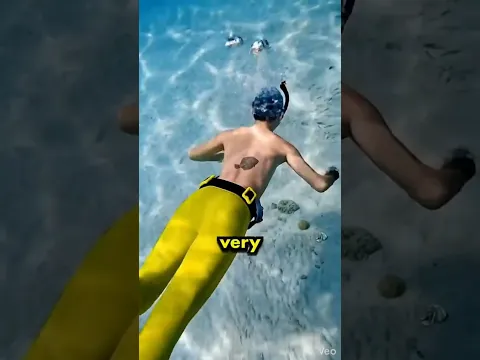 #youtubeshorts #shorts