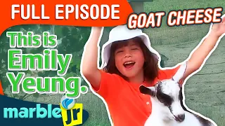 This Is Emily Yeung Season 1 This Is Emily Yeung Making Goat Cheese 