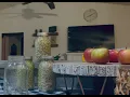Home made Chicken feed Lentils A how to guide
