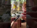 Here s our Daisy Tutorial guyss Subscribe for more tutorial