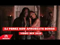 Lagu NEW AFROBEATS MIX 2025 BY DJ PEREZ FT AYRA STARR \u0026 REMA - WHO'S DAT GIRL MIX,BURNA,WIKID,TYLA,RUGER