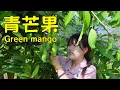 Download Lagu Too hot? Join A Xia to pick green mangoes and make a tangy snack to beat the summer heat!