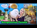 Download Lagu [Hide and Seek with Kocnuni] A millenia of history🙏| Ep.26 Bongseonsa Temple