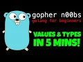 GOLANG VALUES UNDERLYING TYPES IN 5 MINUTES Go Tutorial for Beginners