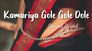kamariya dole slowed reverb kamariya gole dole raja ji lofi neelkamal music
