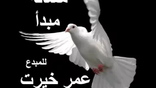 عمر خيرت 2016 مسألة مبدأ 